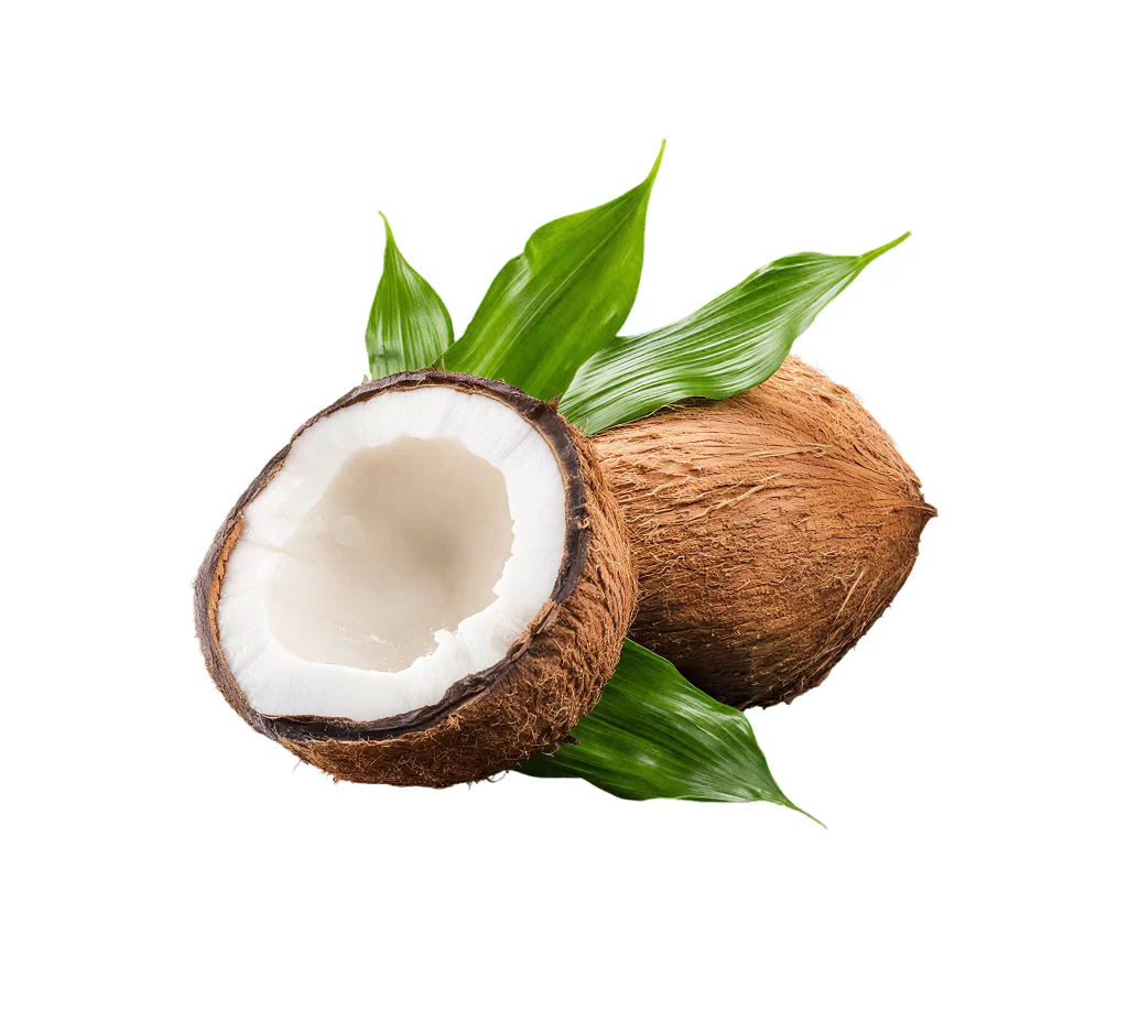 Fresh Coconut Half Photo