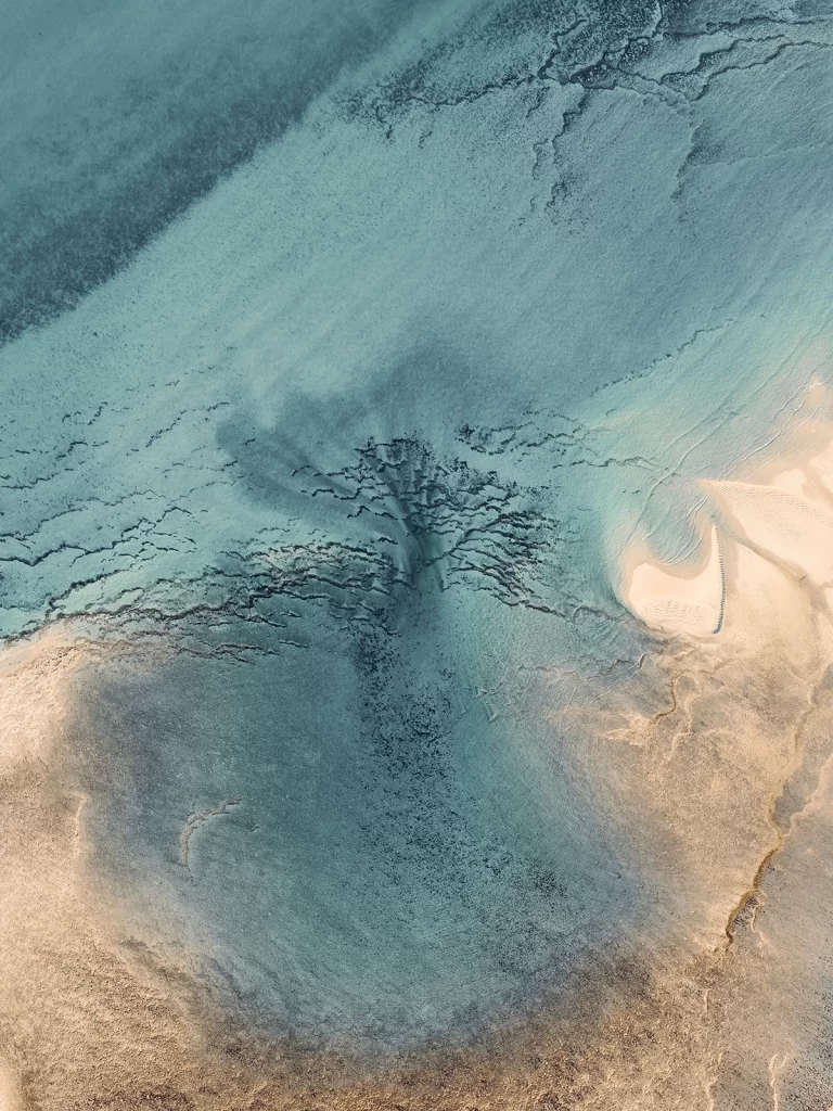 Gradient Nature Background