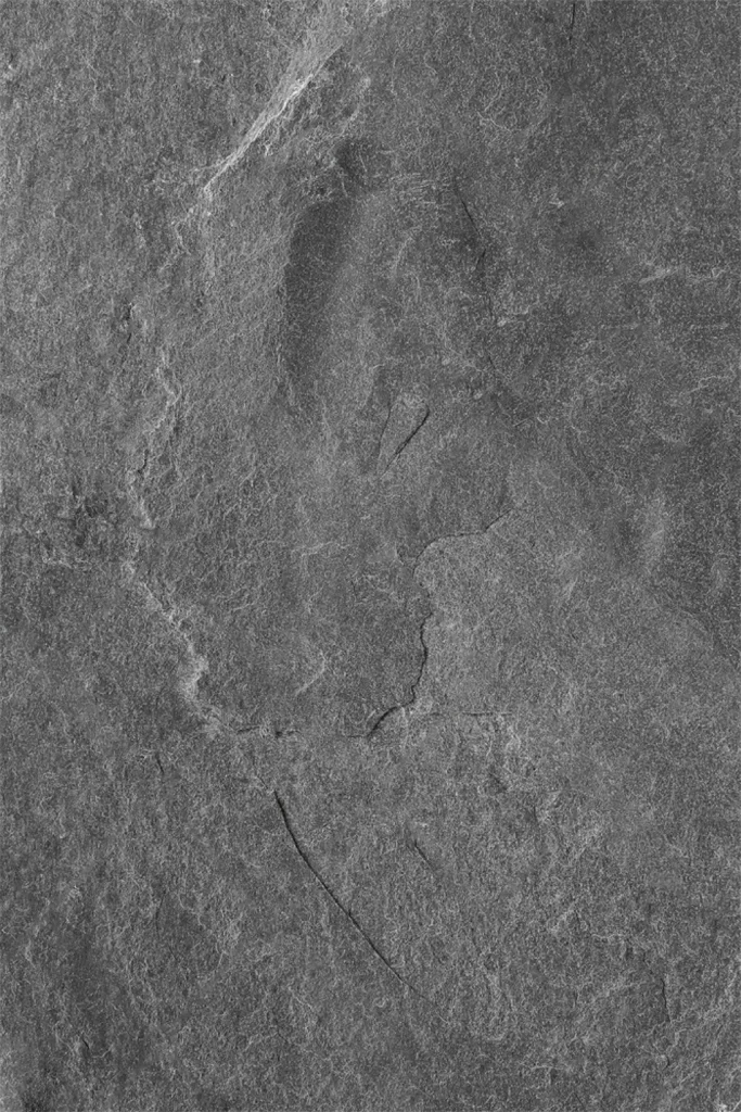 Gray Layered Texture Background