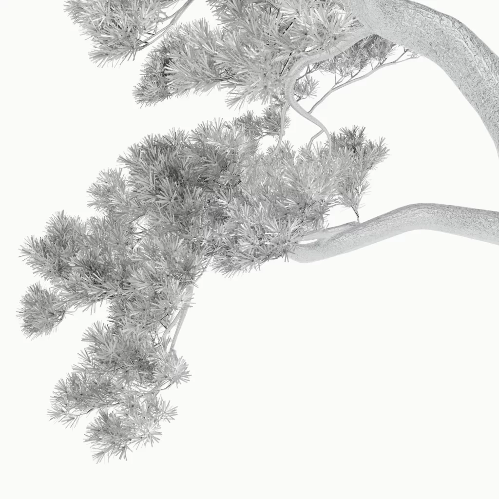 Gray Tree Branch Sculpture