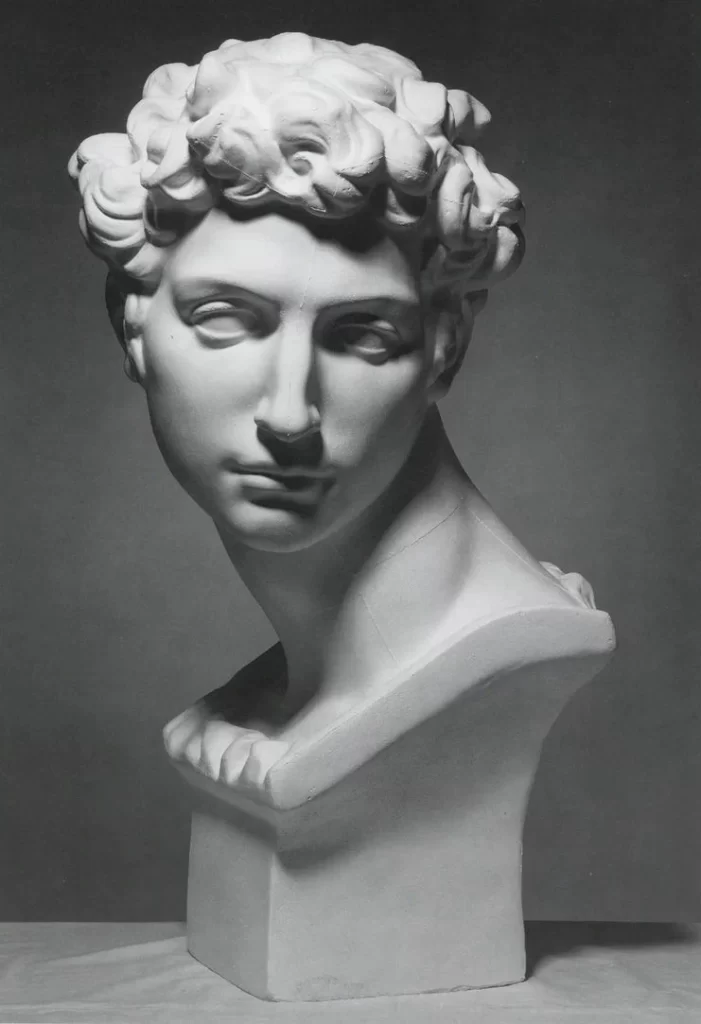 White Plaster Bust