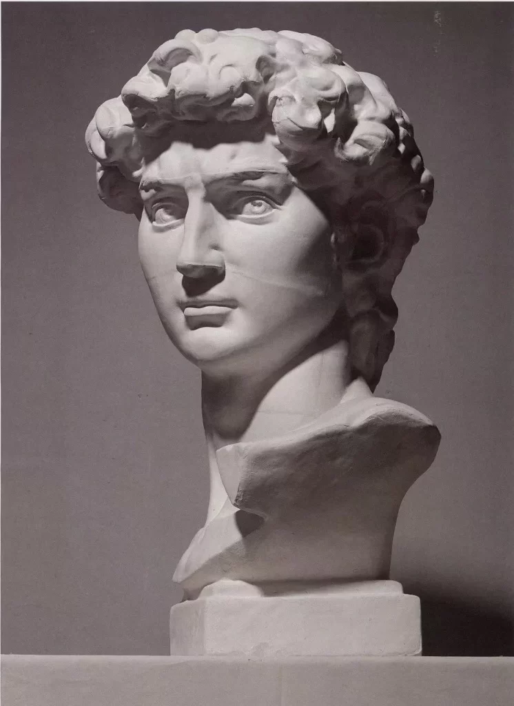 White Plaster Bust