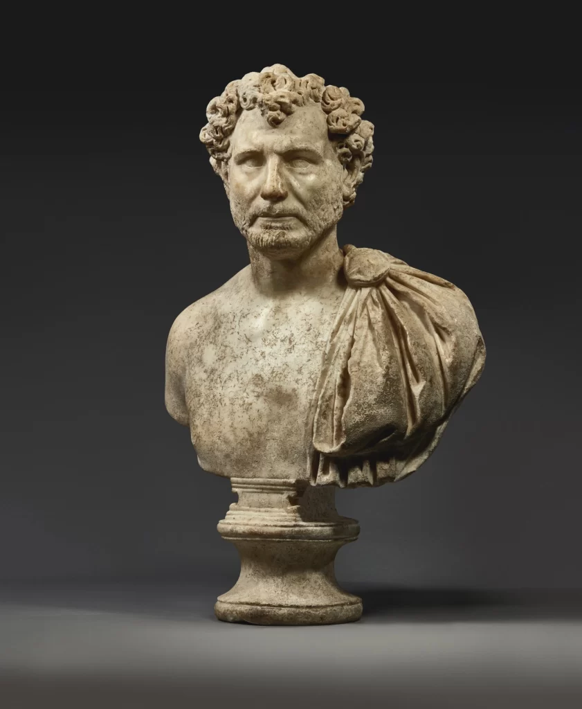Marble Man Bust Curly Hair Draped Shoulder