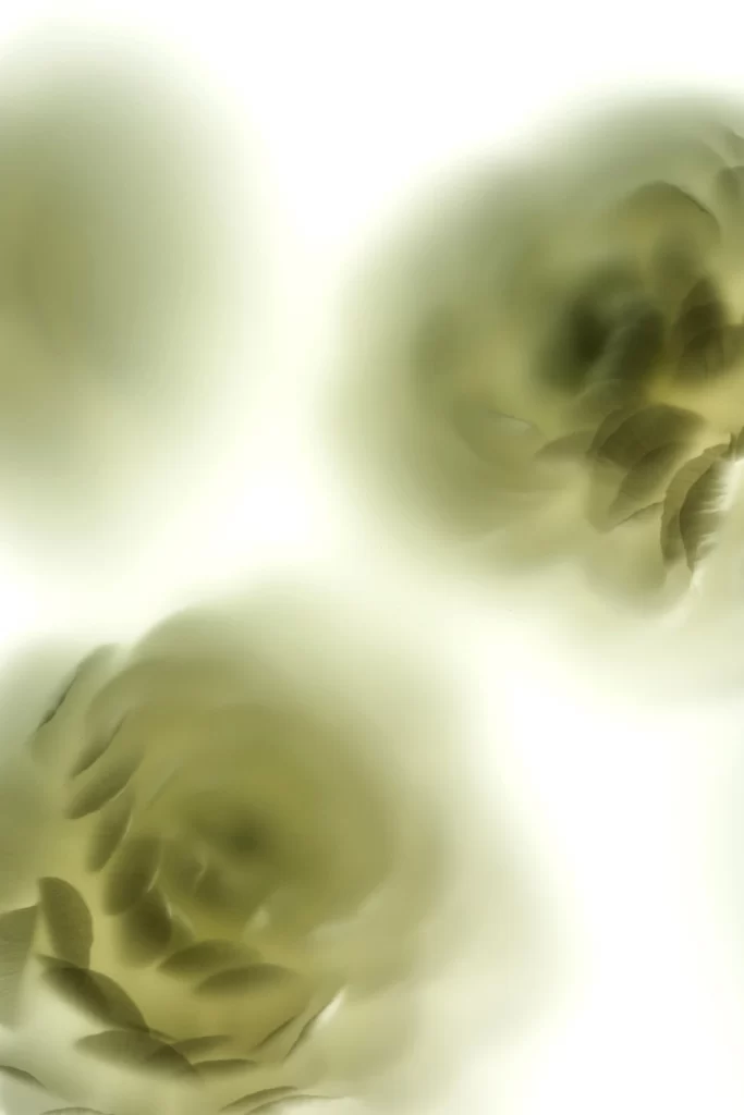 White Bokeh Blur Background