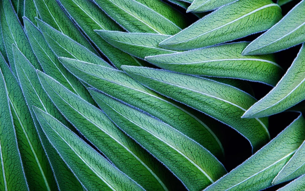 Green Cool Texture Background