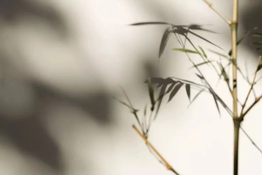 Gold Tree Nature Background