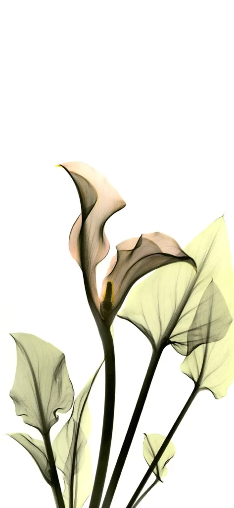 Green Flower Nature Background