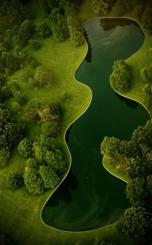 Green Gradient Nature Background
