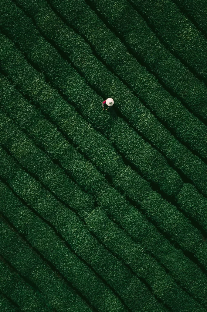 Green Grid Geometric Background