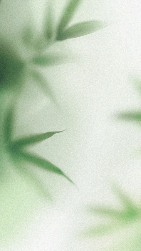 White Bokeh Blur Abstract Background