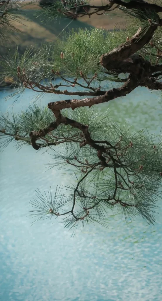 Teal Liquid Nature Background