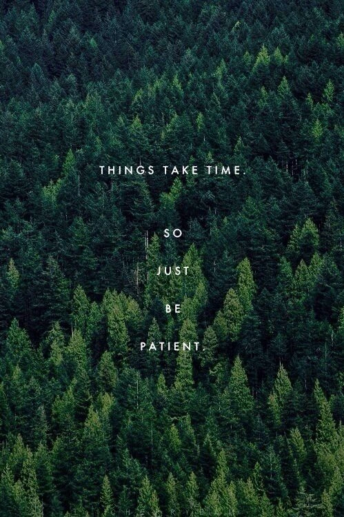 Teal Tree Nature Background