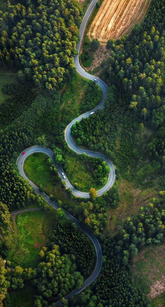 Teal Curve Nature Background