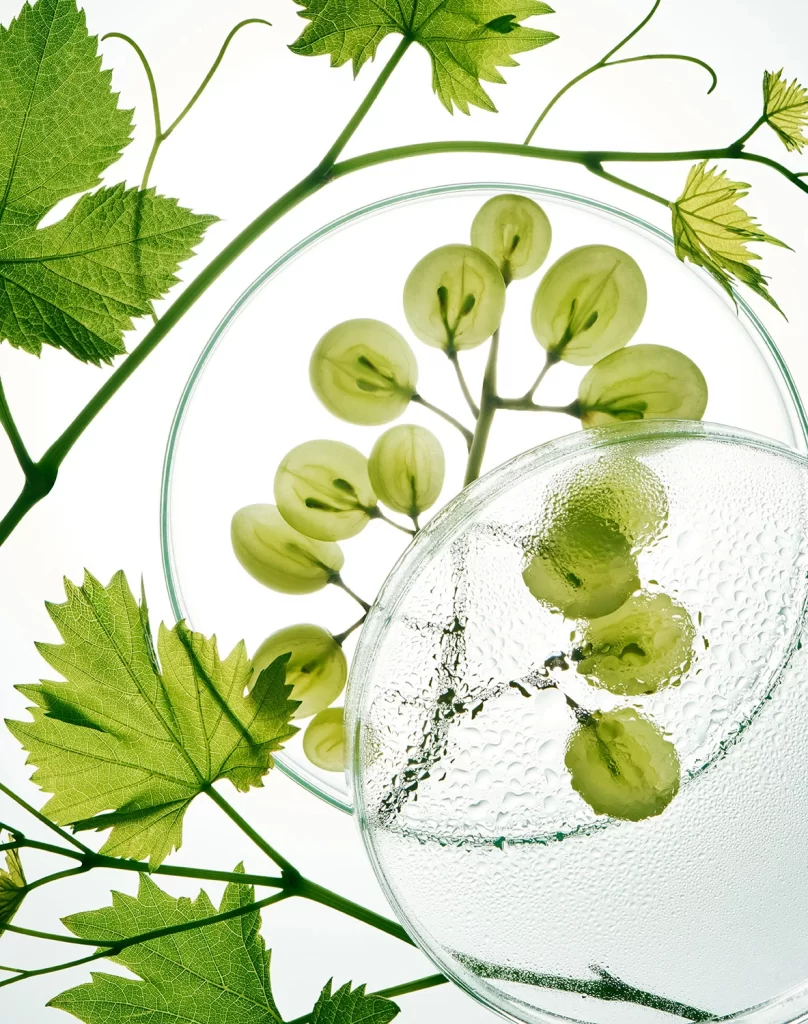 Green Pastel Nature Background