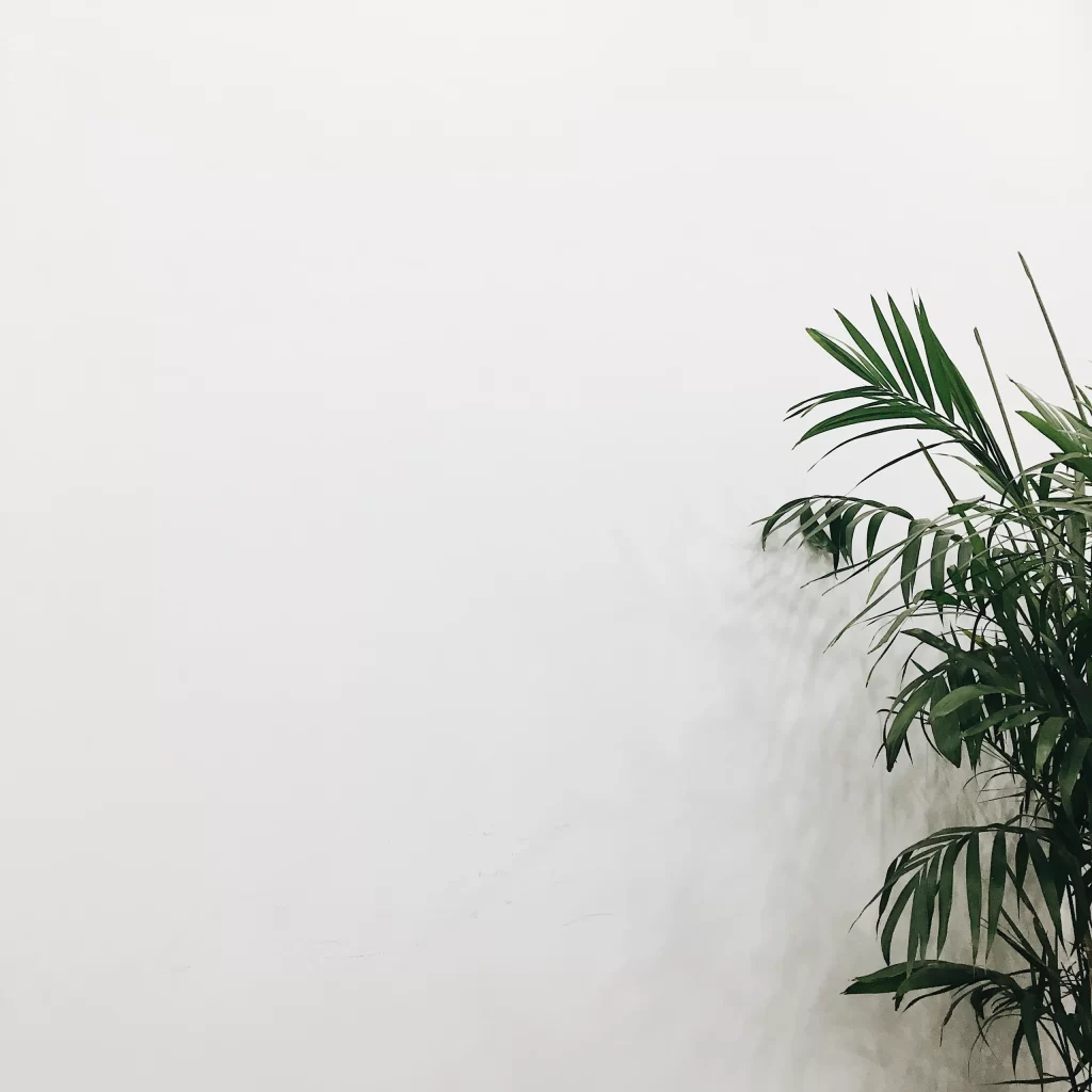 White Nature Background