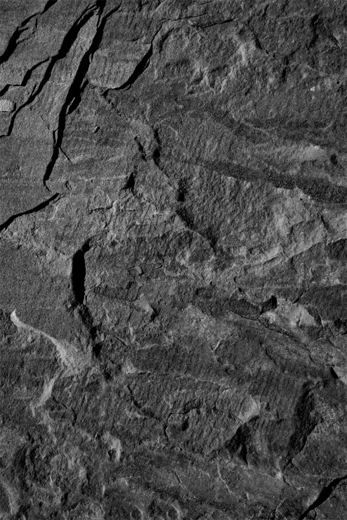 Moody Texture Design Background