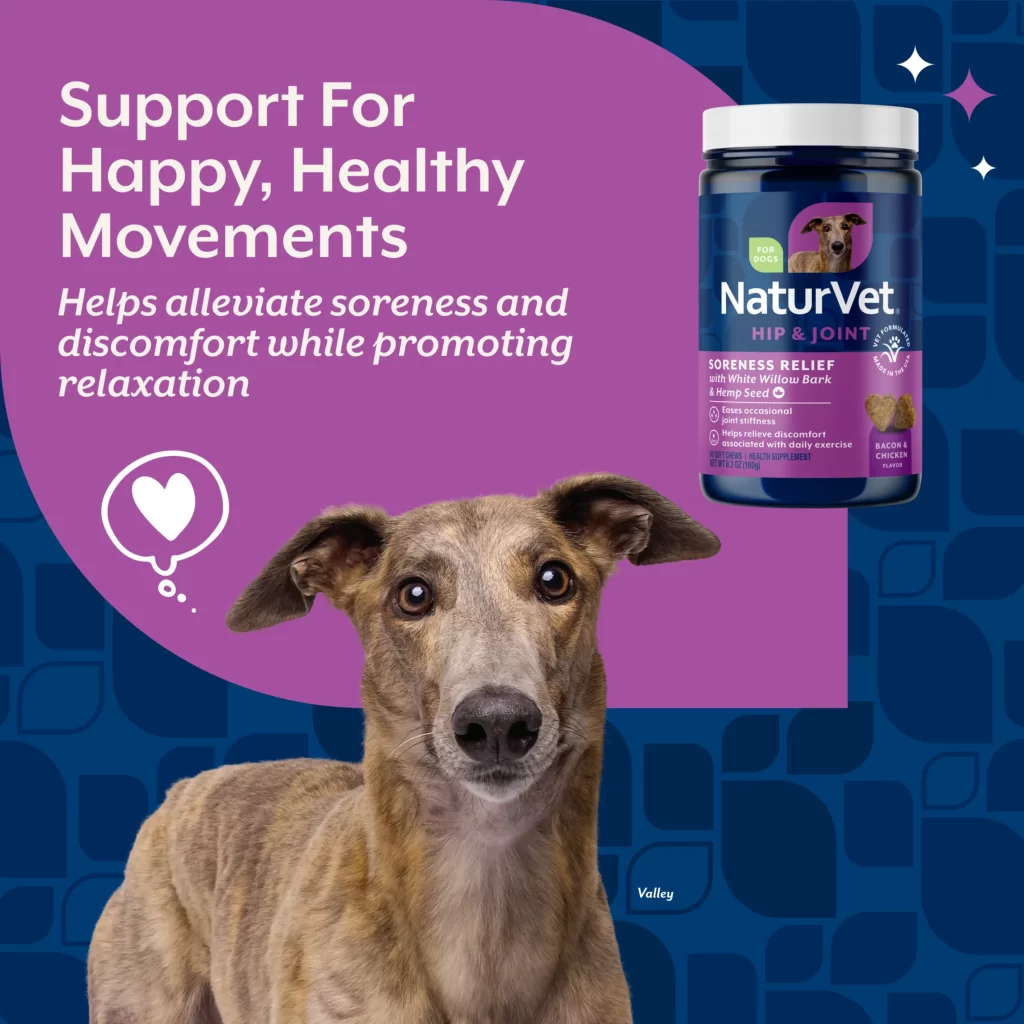 NaturVet Hip & Joint Supplement Jar