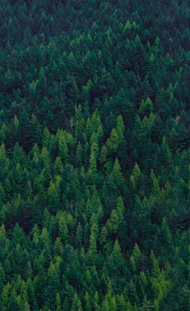 Cyan Tree Background