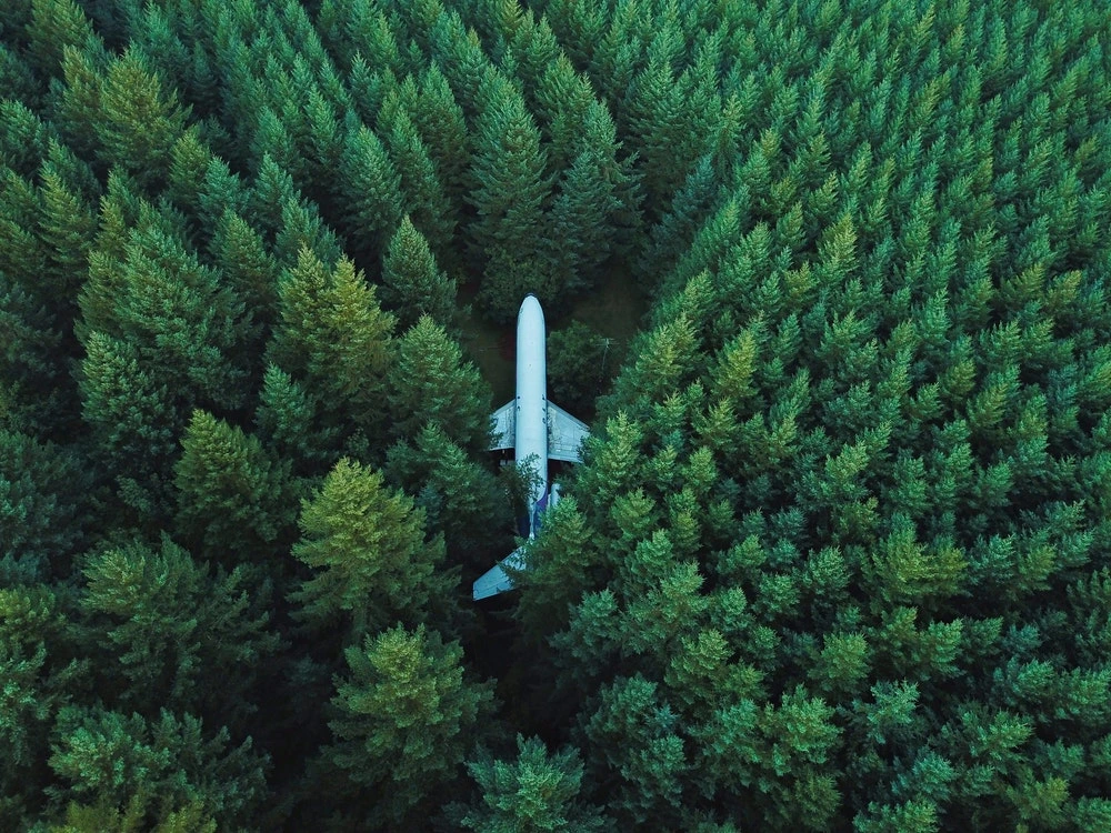 Green Forest Nature Background