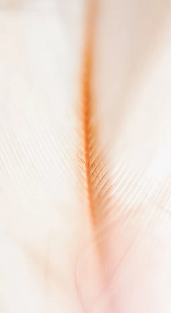Orange Blur Texture Background