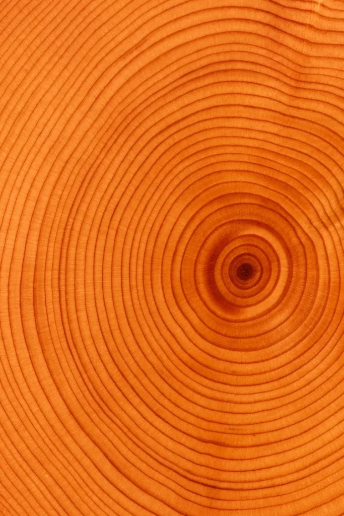 Orange Circle Texture Background