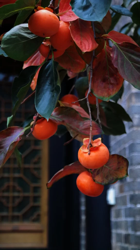 Orange Ethereal Nature Background