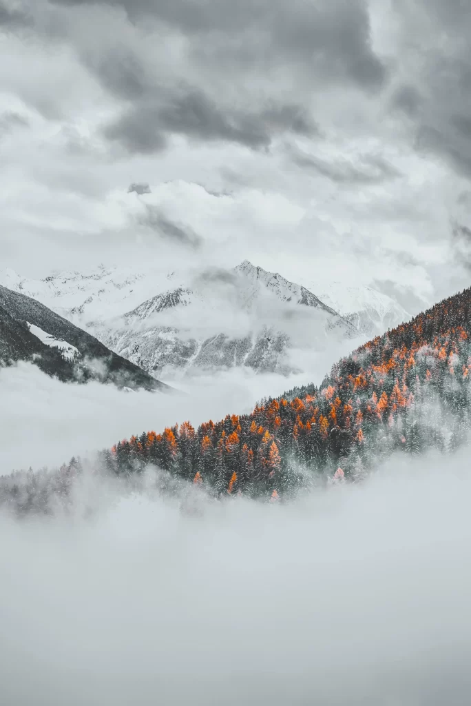 Orange Flow Nature Background