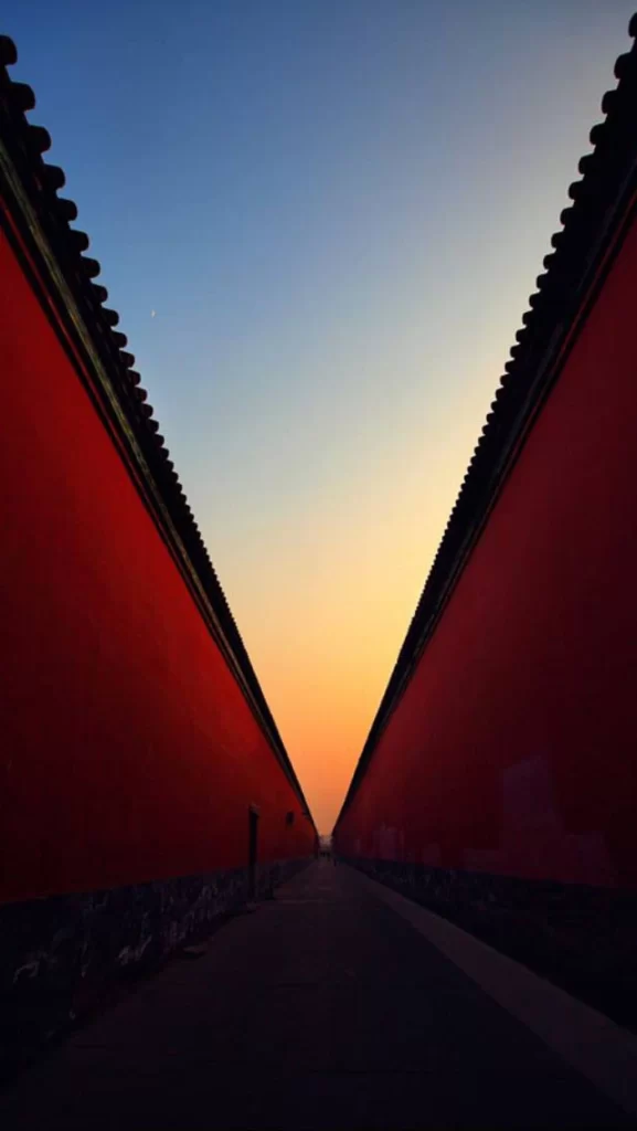 Orange Line Nature Background