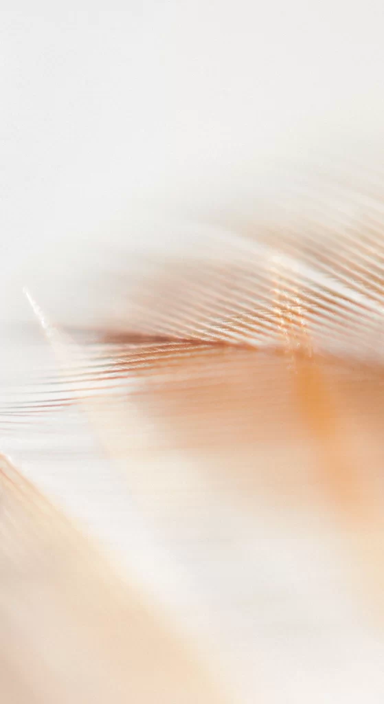 Orange Line Texture Background