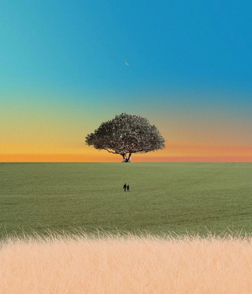 Orange Tree Nature Background