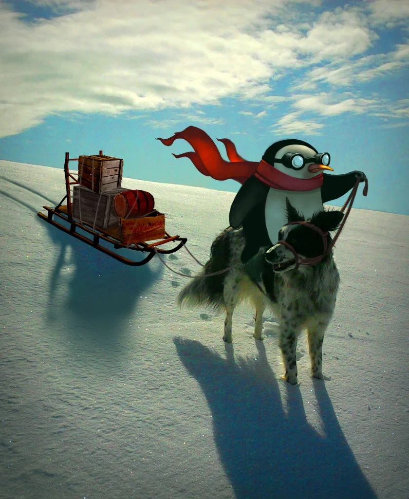 Penguin Riding Dog Pulling Sled Winter Illustration