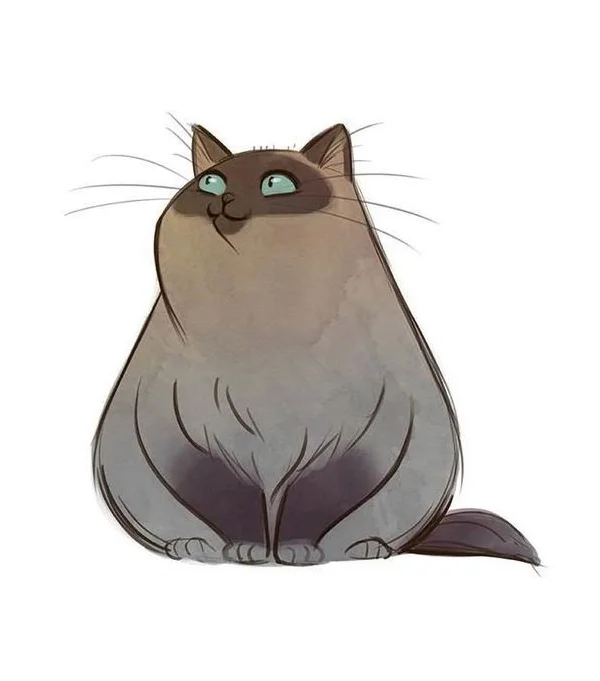 Plump Cartoon Cat Illustration Reference