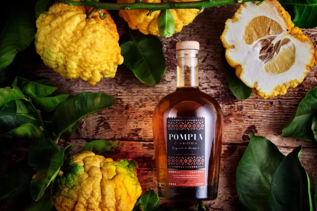 Pompia Liquor Bottle