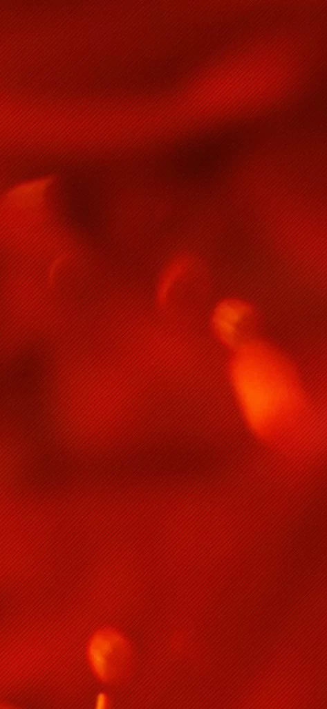 Red Bokeh Flow Abstract Background