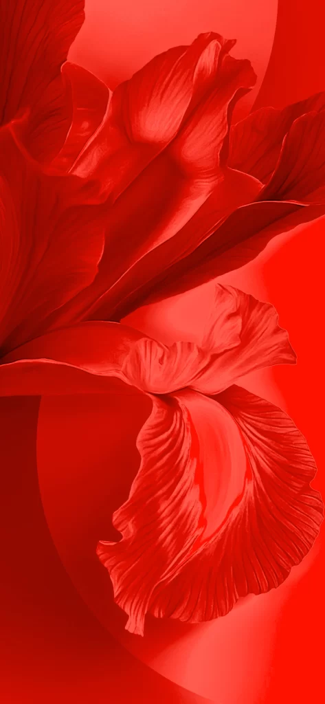 Red Flower Texture Background