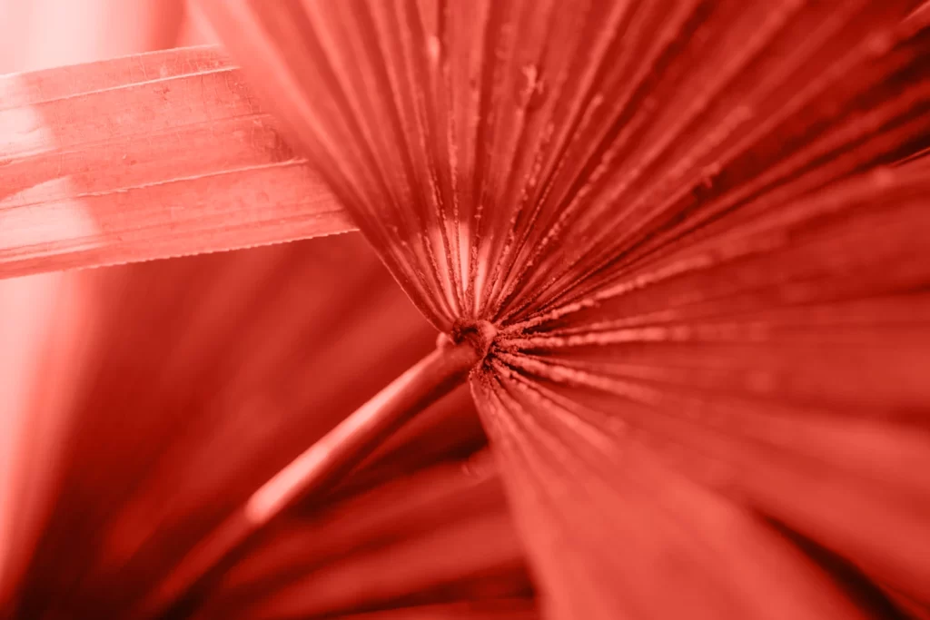 Red Line Texture Background