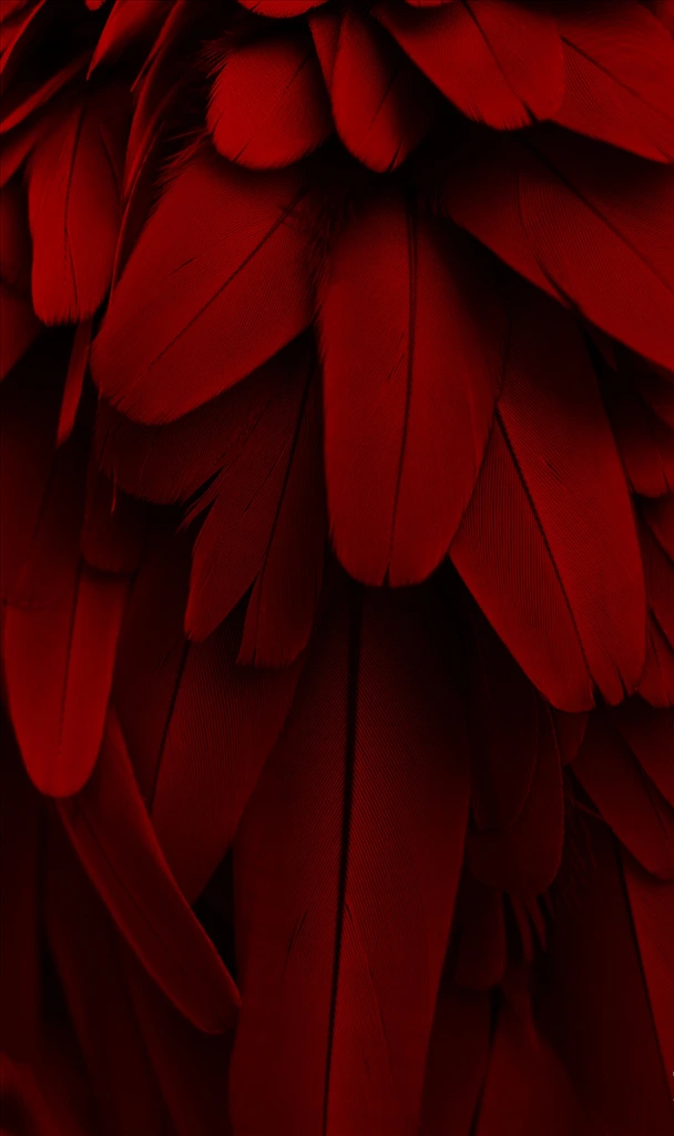 Red Petal Texture Background