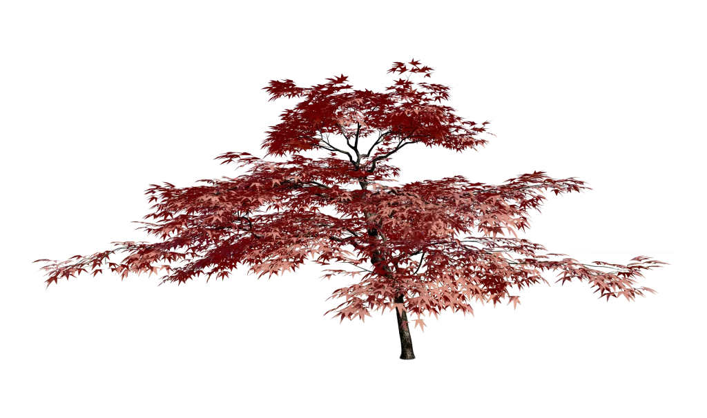 White Tree Gradient Background