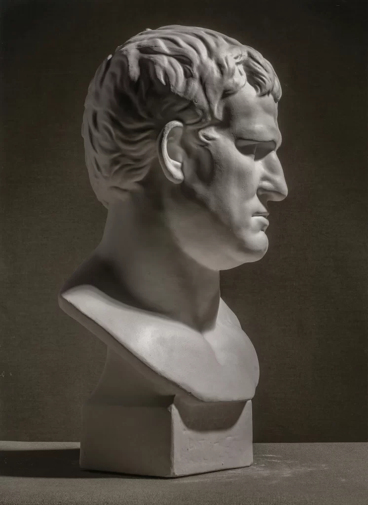 Serious Curly Bust Side View