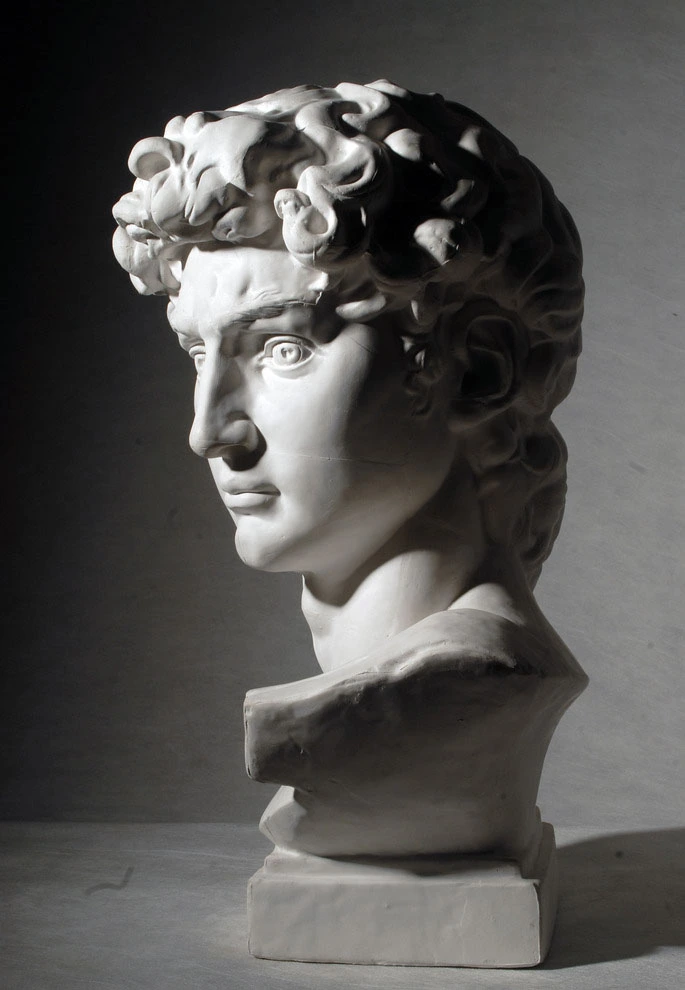 White Plaster Bust