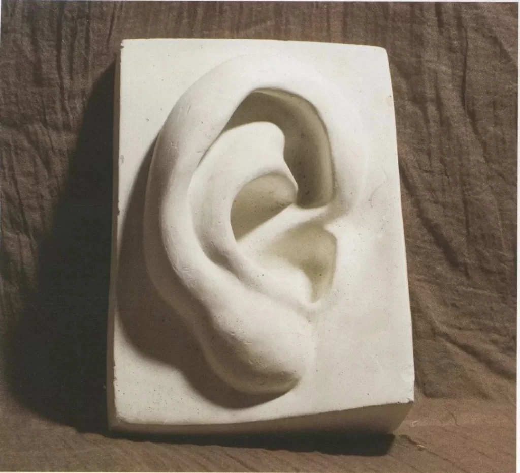 Human Ear Relief Sculpture Brown Fabric