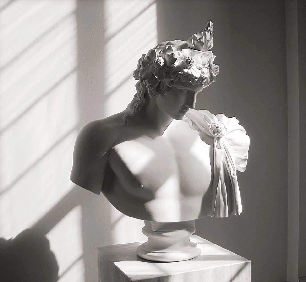 White Plaster Bust