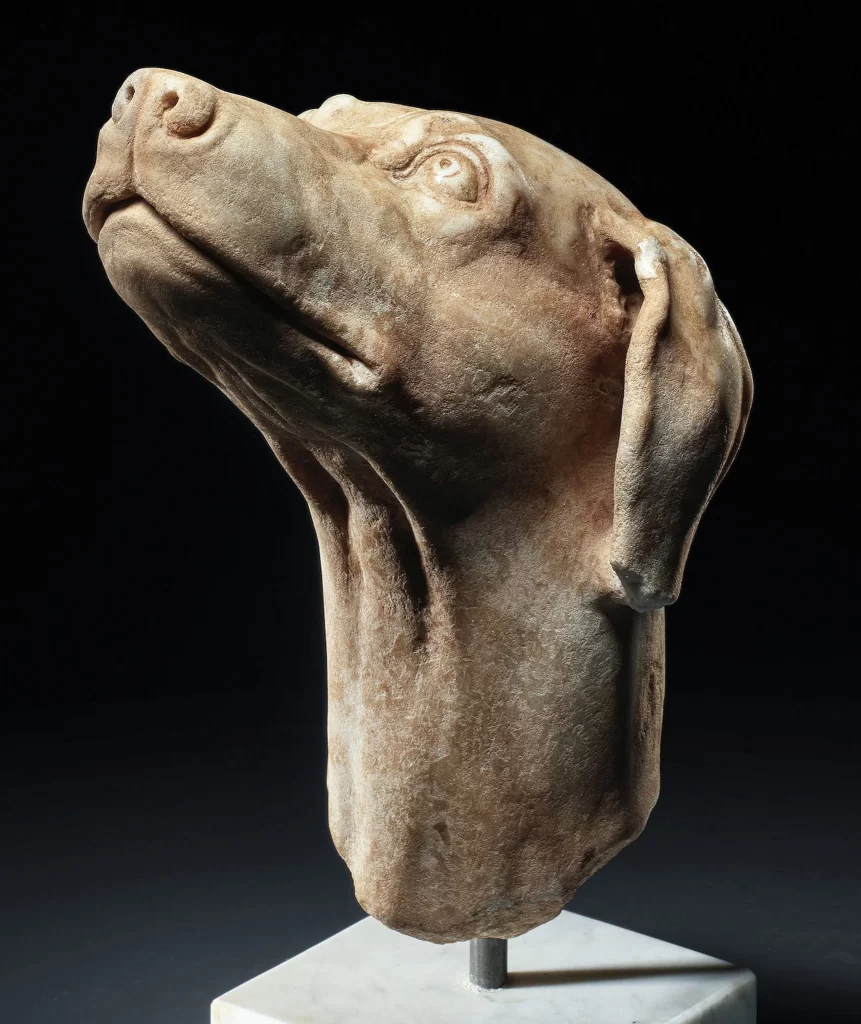Marble Dog Head Statue Black Background