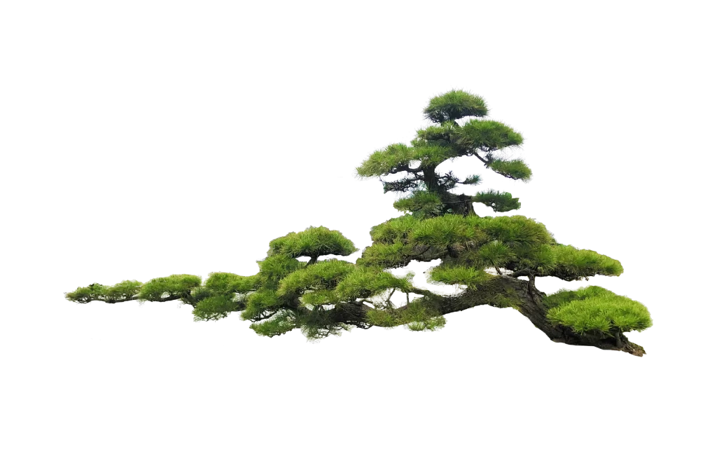 Tree Nature Background