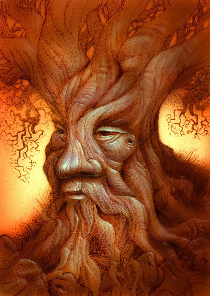 Tree Spirit Face With Wooden Beard Forest Illustration