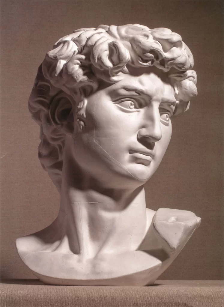Voluminous Curls Plaster Bust Front View