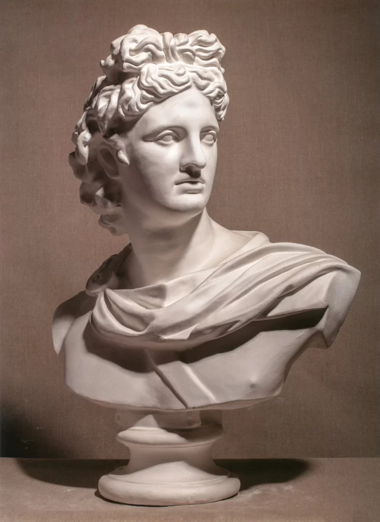 Voluminous Curly Hair Bust Front View