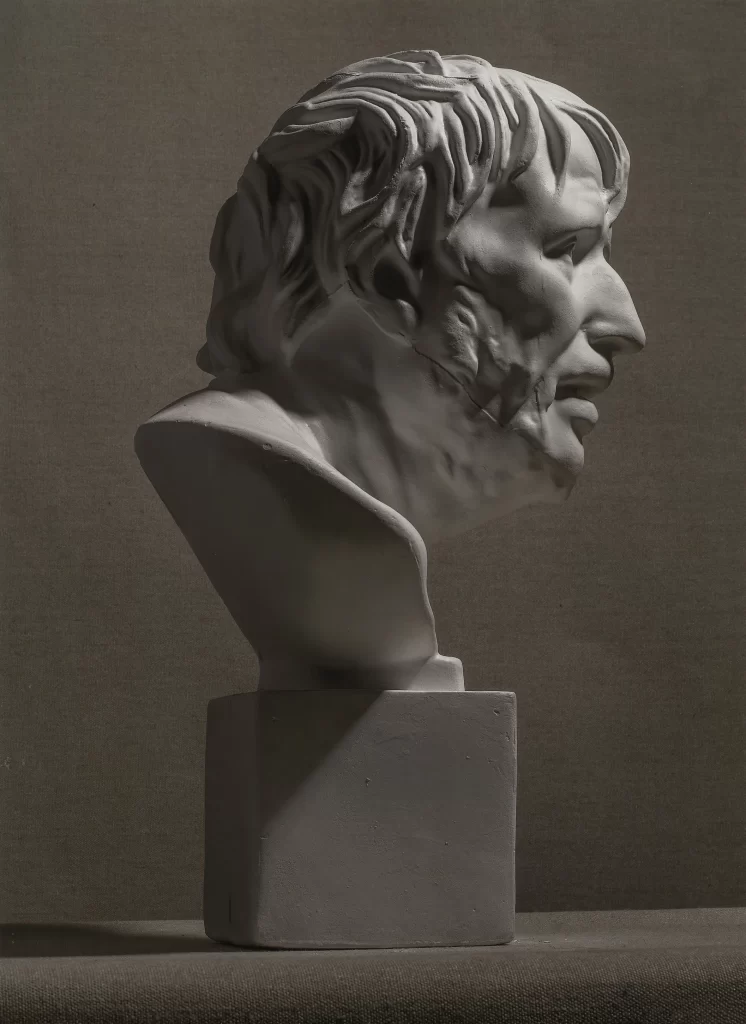 Short Wavy Hair Bust Side View