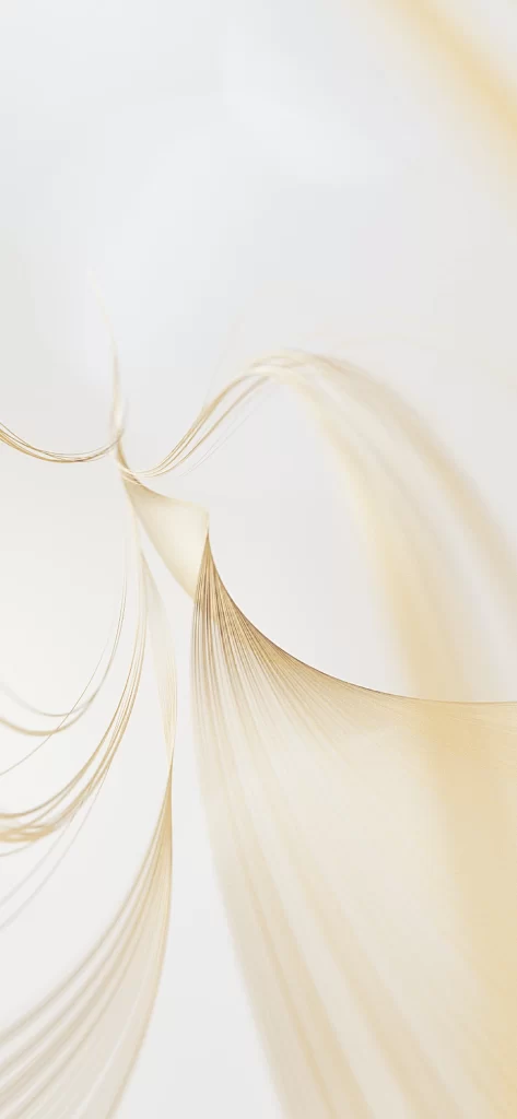 White Layered Curve Abstract Background