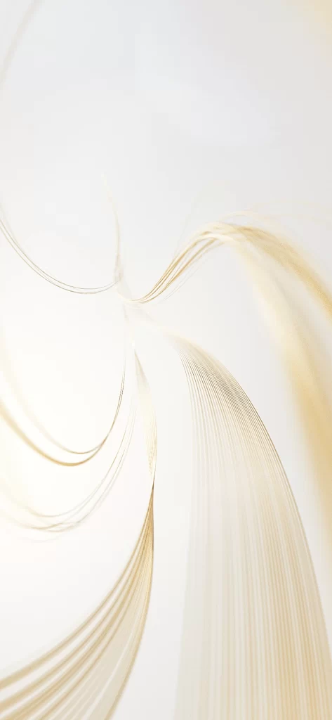 White Curve Layered Background